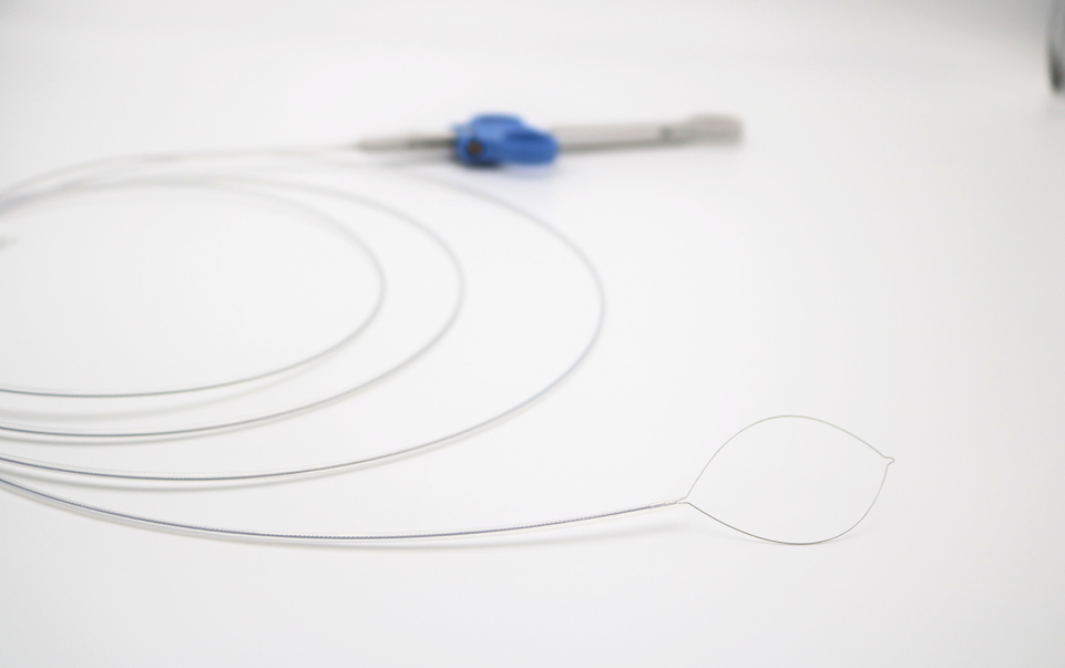 Beyond the Surface: Endoscopic Snares in Urology Procedures