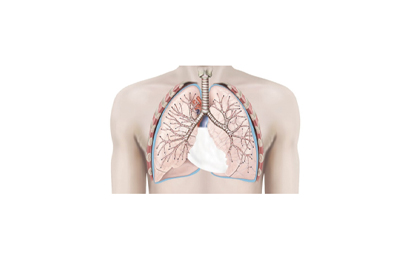 Pulmonology Products